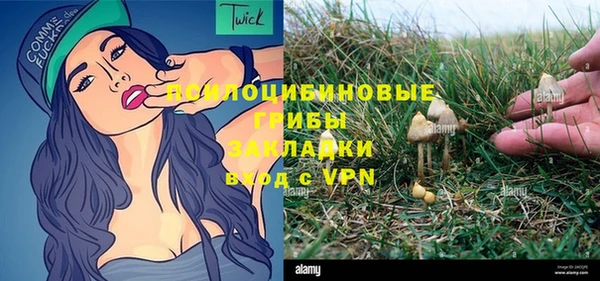 шишки Алексеевка