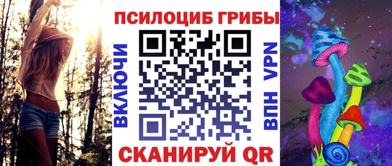 Галлюциногенные грибы Psilocybine cubensis  закладка  Долинск 